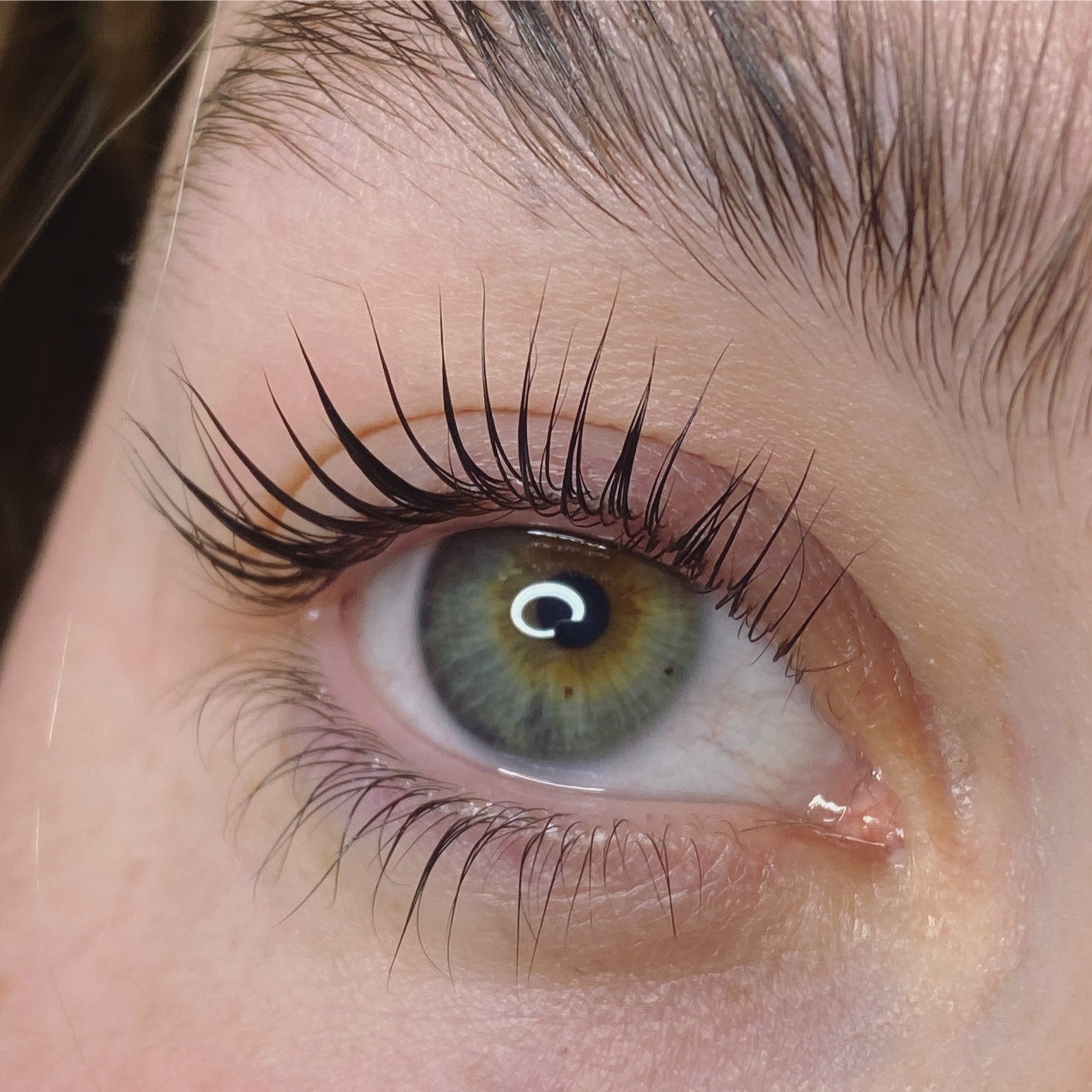 Elleeplex Profusion lash and brow lamination training course kit with sachets, shields, and ReGEN Next Gen treatment.