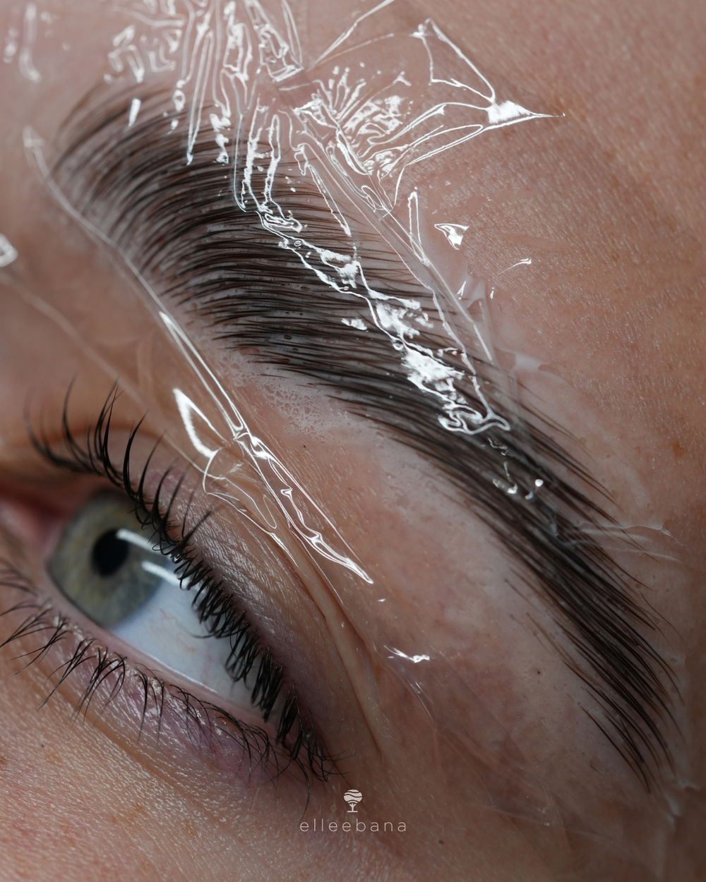 Elleebana Elleeplex Profusion Step One applied during Brow Lamination 