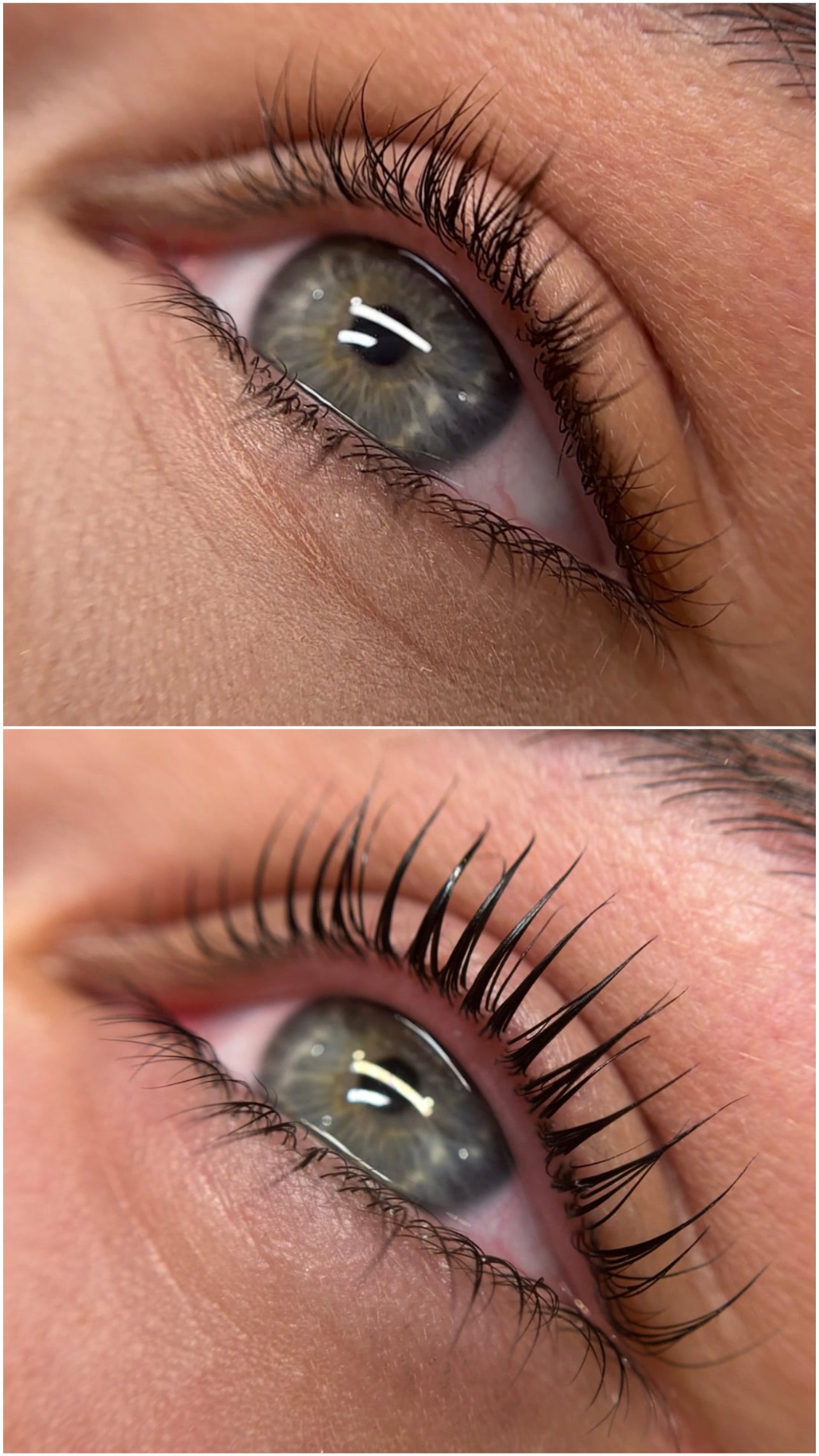 Korean lash Lift by elleebana using Elleeplex Profusion