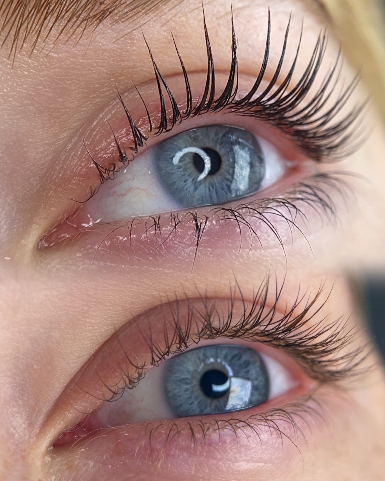 Elleeplex Profusion Lash Lift results and Black and Violet Elleeplex Profusion Tints