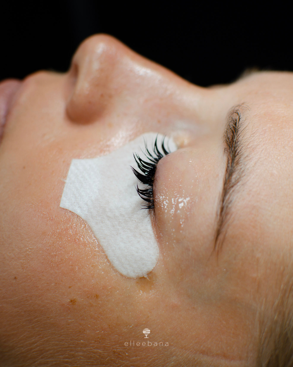 Lash Tinting using Elleebana and Belmacil Tints