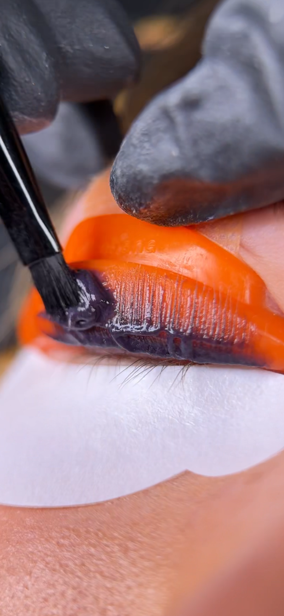 Close up of lash tint being applied after lash lift treatment using elleebana elleeplex profusion tints.