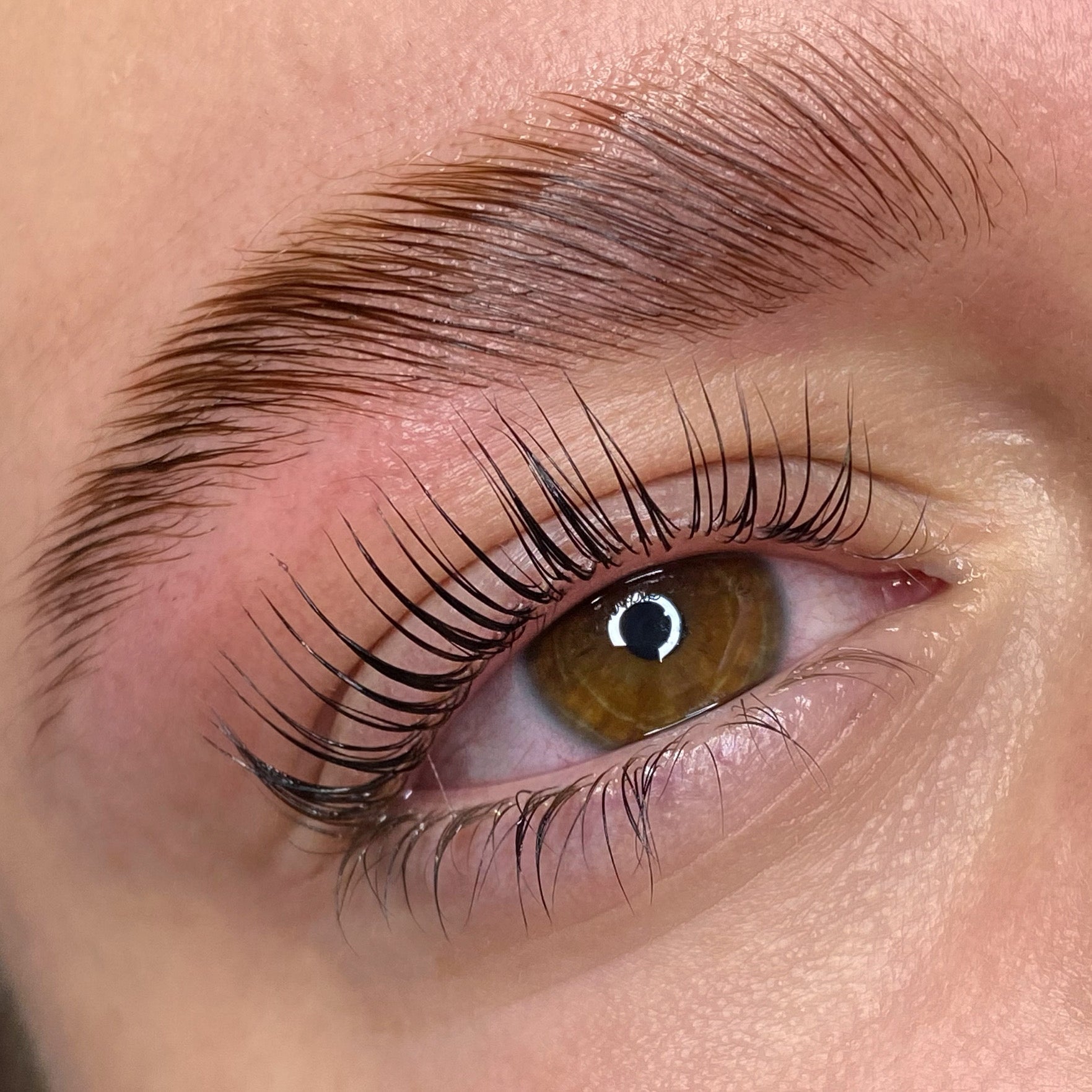 Elleeplex Profusion lash and brow lamination training course kit with sachets, shields, and ReGEN Next Gen treatment.